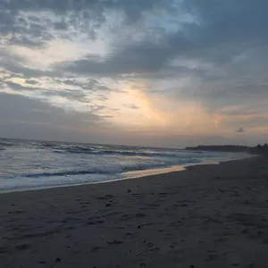 Sunshine Service , Kannur India